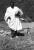Monsieur Teshome
