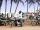 Les Ol�yia, 2
