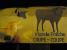Le Coup�Coup� � Brazzaville, 1