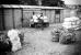 Sur le chemin de l'�cole, 13