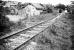 Sur le chemin de l'�cole, 14