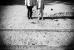 Sur le chemin de l'�cole, 20