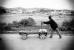 Sur le chemin de l'�cole, 21