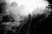 Sur le chemin de l'�cole, 22