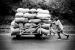 Sur le chemin de l'�cole, 24