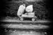 Sur le chemin de l'�cole, 3