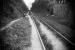 Sur le chemin de l'�cole, 5