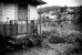 Sur le chemin de l'�cole, 6