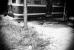 Sur le chemin de l'�cole, 7