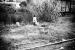 Sur le chemin de l'�cole, 8