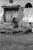 Shombo, 1