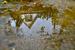 Reflet, 10