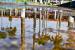 Reflet, 11