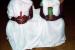 Bwiti 08