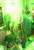 Kuramo nights, 11