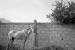 Parcours 03
