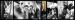 Icones