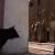Identit�, 4
