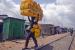 Accra city, 5