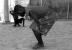 Danser l'espoir, 10