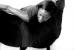 Danser l'espoir, 8