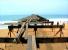 Les wharfs de Lom�, 24