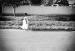 Sur le chemin de l'�cole