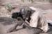 G�eems�s parmi les hommes